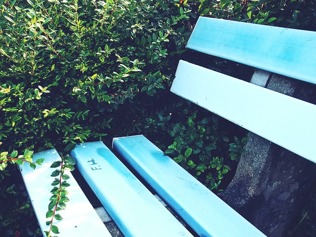 NBA杯战报：西亚卡姆24+11，萨尔24分8板，步行者119-86大胜奇才