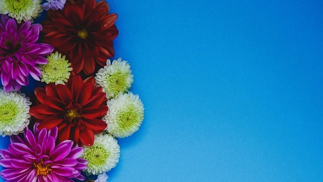 手感火热！布伦森17中9砍下33分&第三节独拿20分